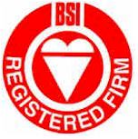 Copy of BSI logo.jpg (8309 bytes)
